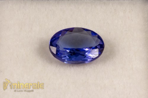 GE166-3_gemme_pietre_tagliate_preziose_semipreziose_dure_tanzanite_collezione.logo