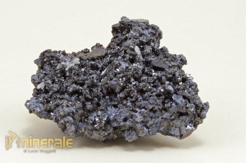 MN014-2_minerali_collezione_galena.logo