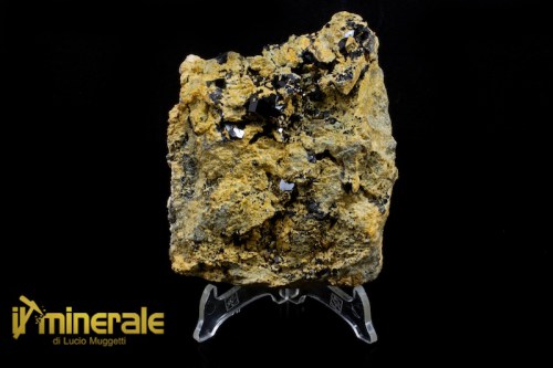 MN1088-1_minerali_collezione_granato_andradite_melanite_minerals_collection.logo