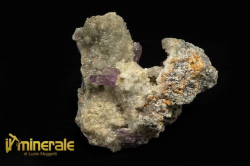 MN1142-1_minerali_collezione_quarzo_ametistino_osilo_collection_minerals.logo