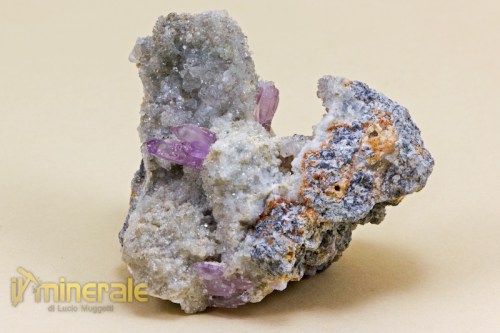 MN1142-2_minerali_collezione_quarzo_ametistino_osilo_collection_minerals.logo