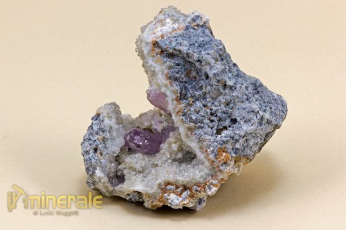MN1142-3_minerali_collezione_quarzo_ametistino_osilo_collection_minerals.logo