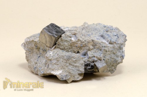 MN115-2_minerali_collezione_pirite_cubica_spagna.logo