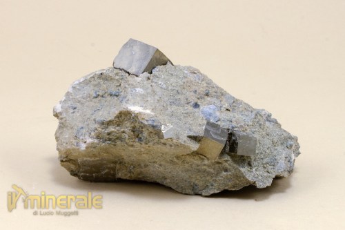 MN115-3_minerali_collezione_pirite_cubica_spagna.logo