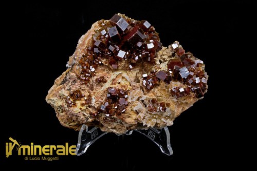 MN1211-1_minerali_collezione_vanadinite_marocco_collection_minerals_morocco.logo