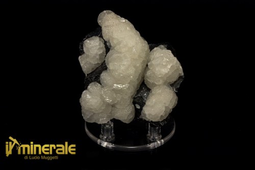 MN1262-1_minerali_collezione_calcite_sfalerite_trepca_collection_minerals.logo