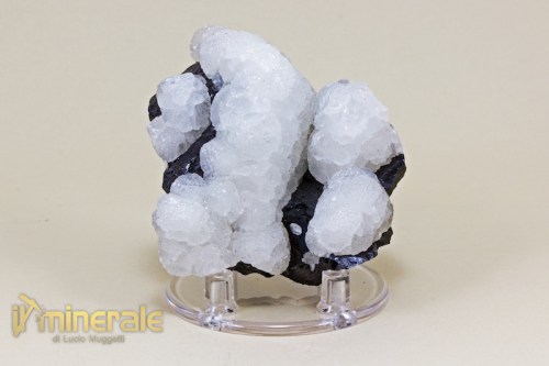 MN1262-2_minerali_collezione_calcite_sfalerite_trepca_collection_minerals.logo