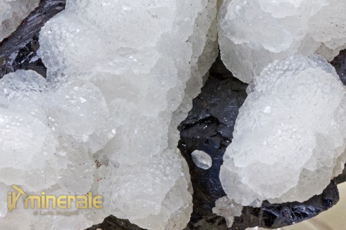 MN1262-3_minerali_collezione_calcite_sfalerite_trepca_collection_minerals.logo