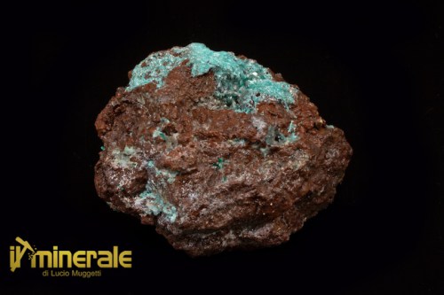 MN1358-1_minerali_collezione_auricalcite_collection_minerals_native_copper.logo