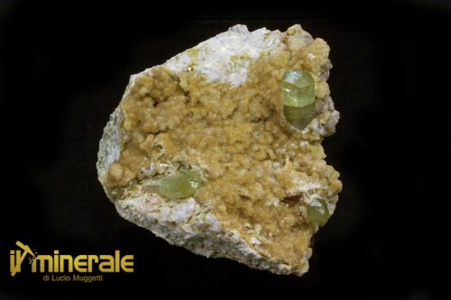 MN1393-1_minerali_collezione_apatite_collection_minerals.logo