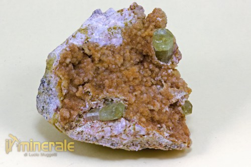 MN1393-2_minerali_collezione_apatite_collection_minerals.logo