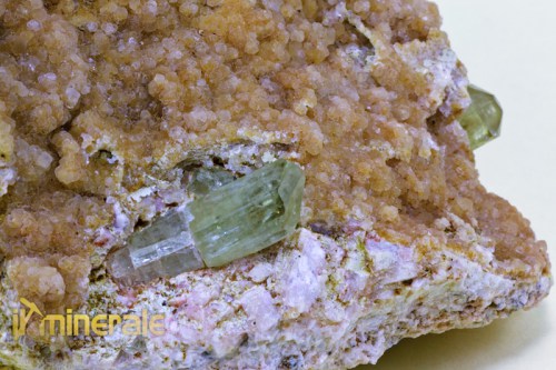 MN1393-3_minerali_collezione_apatite_collection_minerals.logo