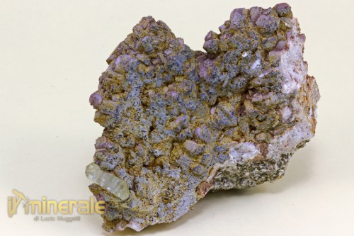 MN1394-2_minerali_collezione_apatite_collection_minerals.logo