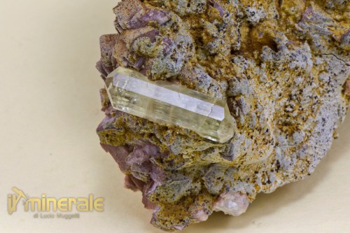 MN1394-3_minerali_collezione_apatite_collection_minerals.logo