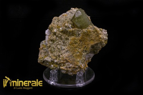 MN1395-1_minerali_collezione_apatite_collection_minerals.logo