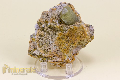 MN1395-2_minerali_collezione_apatite_collection_minerals.logo