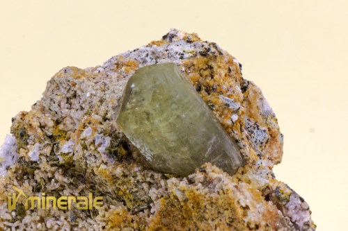 MN1395-3_minerali_collezione_apatite_collection_minerals.logo