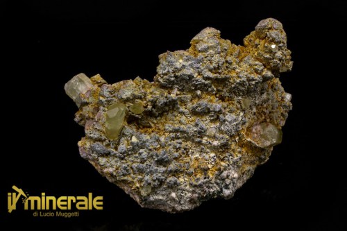 MN1397-1_minerali_collezione_apatite_collection_minerals.logo