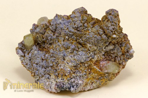 MN1397-2_minerali_collezione_apatite_collection_minerals.logo