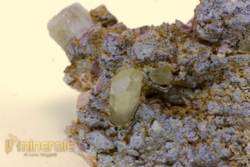 MN1397-3_minerali_collezione_apatite_collection_minerals.logo
