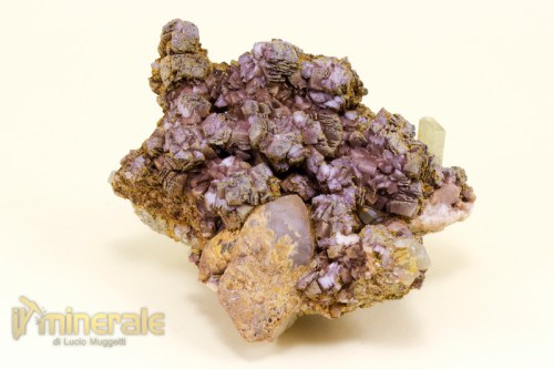 MN1397-4_minerali_collezione_apatite_collection_minerals.logo