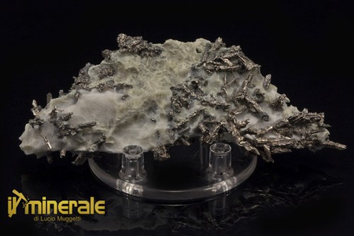 MN1399-1_minerali_collezione_argentite_acantite_collection_minerals.logo