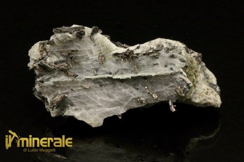 MN1400-1_minerali_collezione_argentite_acantite_collection_minerals.logo