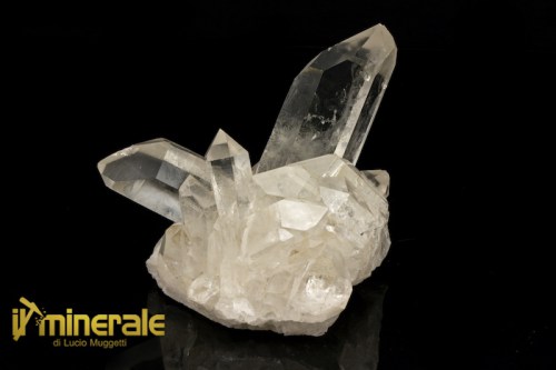 MN1431-1_Minerali_collezione_silicati_quarzo_ialino_arkansas_collection_minerals_quartz.logo