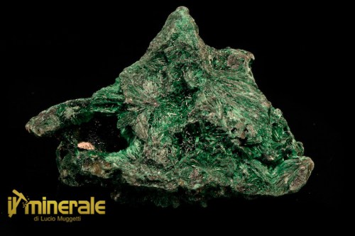 MN1473-1_minerali_collezione_malachite_carbonati_collection_minerals.logo