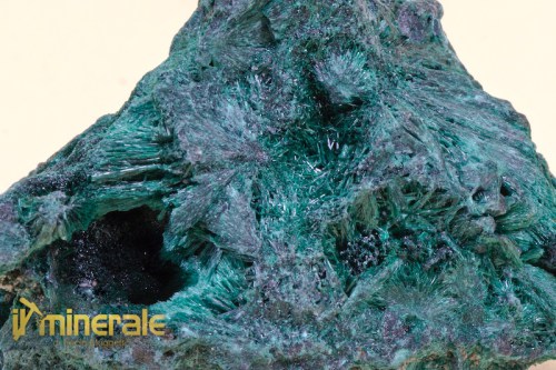 MN1473-3_minerali_collezione_malachite_carbonati_collection_minerals.logo
