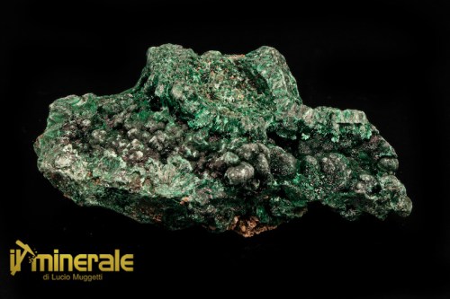 MN1477-1_minerali_collezione_malachite_carbonati_collection_minerals.logo