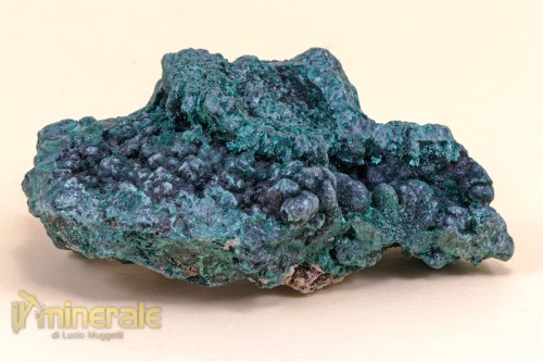 MN1477-2_minerali_collezione_malachite_carbonati_collection_minerals.logo