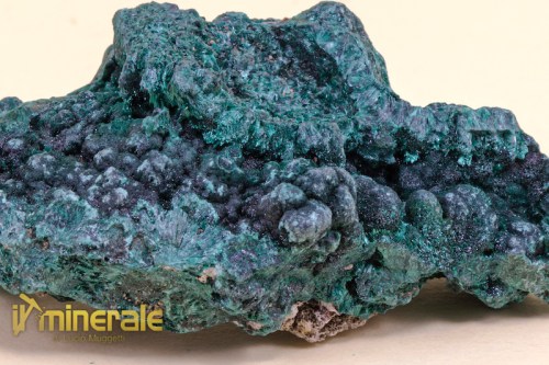 MN1477-3_minerali_collezione_malachite_carbonati_collection_minerals.logo