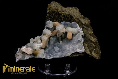 MN1502-1_minerali_collezione_apofillite_stilbite_india_collection_minerals.logo