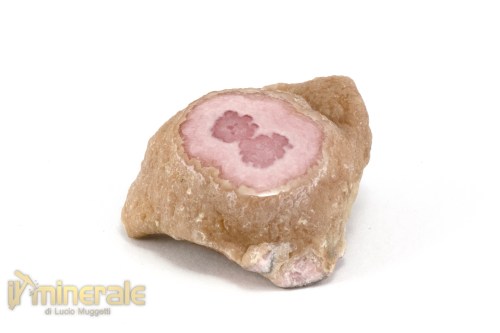 MN1509-2_minerali_collezione_arredamento_pietrer_lucidate_rodocrosite
