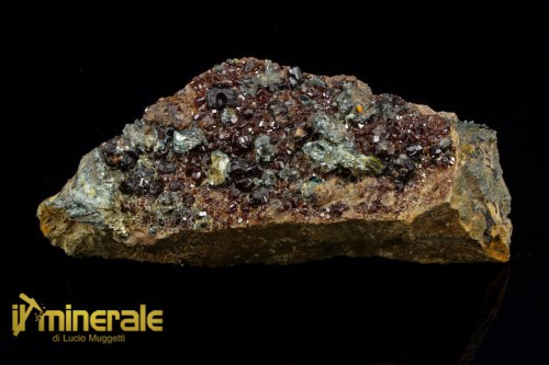 MN1521-1_minerali_collezione_granati_grossularia_essonite_collection_mineral_garnet.logo