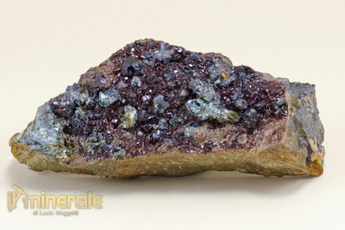 MN1521-2_minerali_collezione_granati_grossularia_essonite_collection_mineral_garnet.logo7