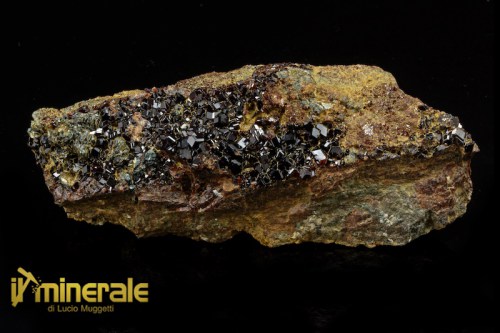 MN1522-1_minerali_collezione_granati_grossularia_essonite_collection_mineral_garnet.logo