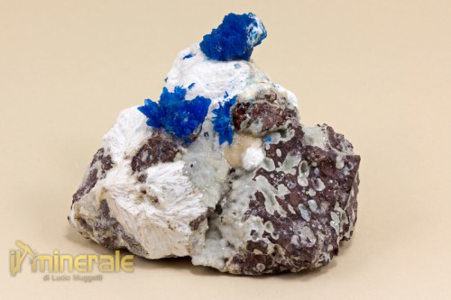 MN1566-2_minerali_collezione_cavansite_india.logo