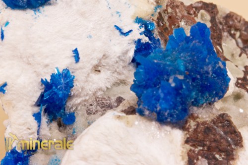 MN1566-3_minerali_collezione_cavansite_india.logo