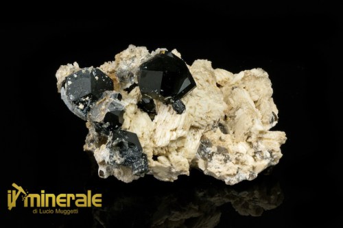 MN1583-1_minerali_collezione_silicati_tormalina_sciorlite_namibia.logo