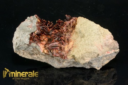MN1603-1_minerali_collezione_eritrite_marocco