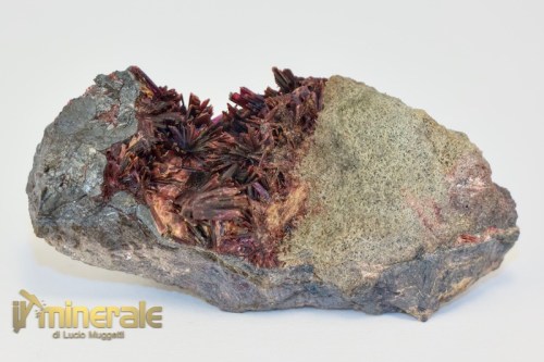 MN1603-2_minerali_collezione_eritrite_marocco