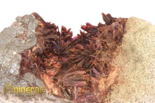 MN1603-3_minerali_collezione_eritrite_marocco