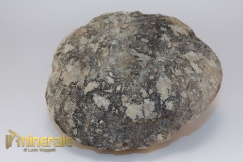 MN1605-4_minerali_collezione_geodi_calcite_quarzo_marocco