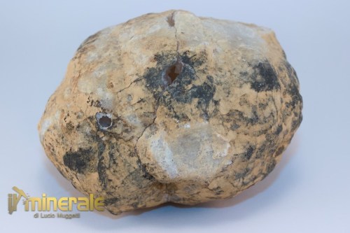 MN1608-4_minerali_collezione_geodi_calcite_quarzo_marocco