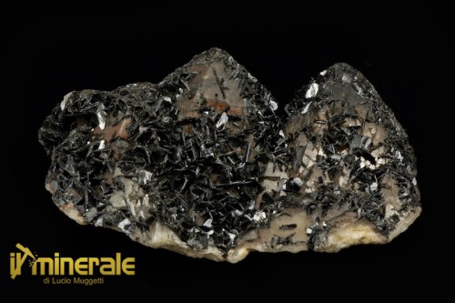 MN1637-1_minerali_collezione_ossidi_ematite_specularite.logo