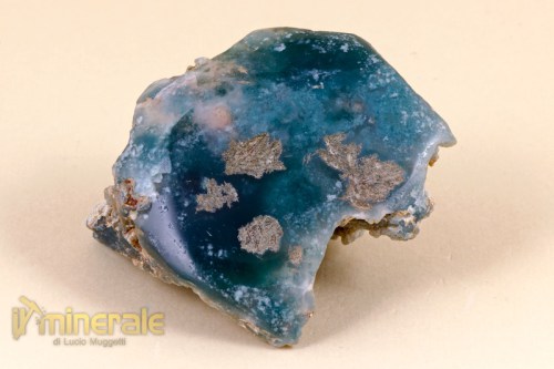 MN1639-2_minerali_collezione_calcedonio_mtorolite.logo