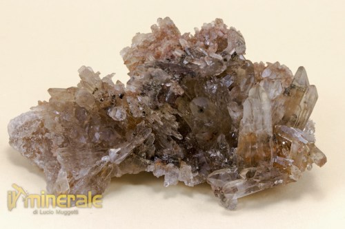 MN1721-2_minerali_collezione_silicati_quarzo_affumicato_brasile.logo