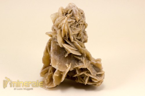 MN1783-2_minerali_collezione_arredamento_gesso_rose_del_deserto_tunisia.logo